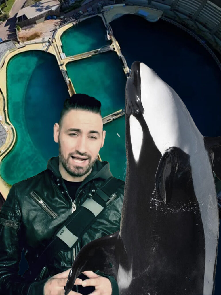 Exposed: How Seph Lawless Misrepresents Marineland Antibes Orcas (Wikie & Keijo)