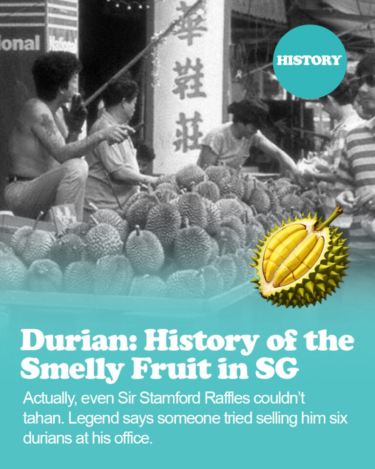 Durian: History of the Smelly Fruit in Singapore