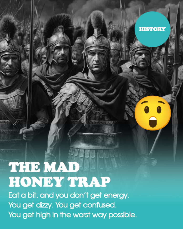 The Mad Honey Trap: How an Ancient Army Got Wrecked by Free Food
